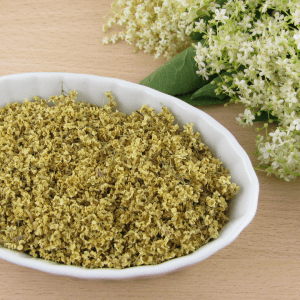 fleurs de sureau