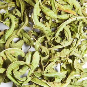 verveine